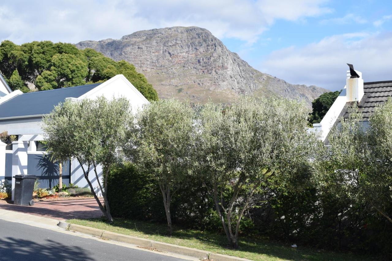 Protea Studio Franschhoek Central Εξωτερικό φωτογραφία